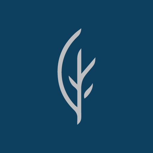 1-team-travel.pages.dev favicon